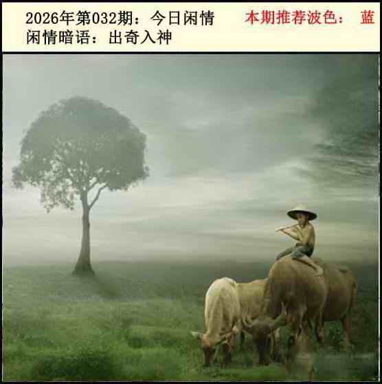 032期今日闲情2[图]